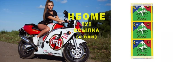 индика Беслан
