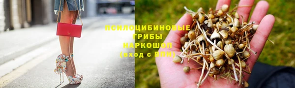 Альфа ПВП Абаза