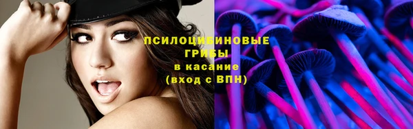 стаф Абдулино