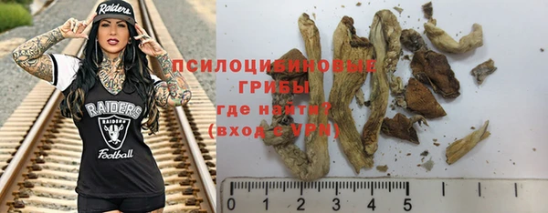 стаф Абдулино