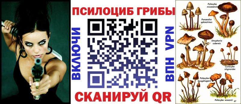 Галлюциногенные грибы Cubensis  Кедровый 